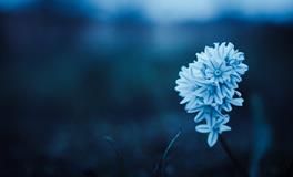 梦见死人又死了预示着什么