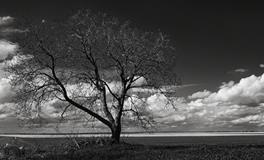 梦见棺材和死人是什么意思