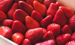 生肖龙什么时辰出生财运最旺