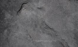 梦见诈尸周公解梦