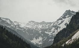 梦见自己爱的人死了