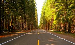 梦见好好的人突然死了