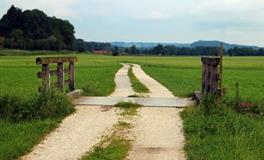 梦到死人给我东西