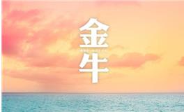 金牛座代表的颜色