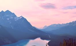 农历1月出生属猪人命好吗