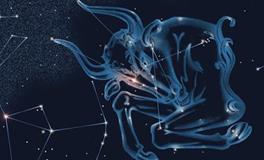 O型血金牛座的性格特点