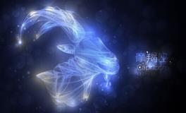 O型血摩羯座的性格特点