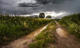 做梦梦到涨水是什么意思