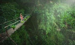 梦见下雪预示着什么