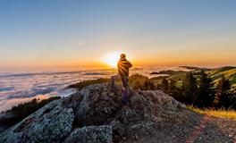 1983年属猪的是什么命