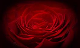 梦见头被打出血