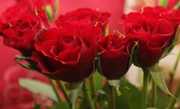 梦见头流血是什么意思