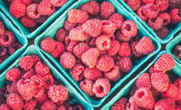 梦到手破了没出血