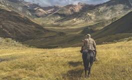 梦见好大一只巨大老鼠