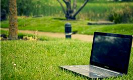 梦见好多老鼠在屋子里