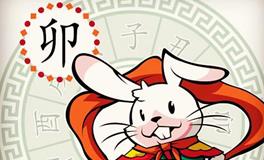 属兔白羊座的O型血性格特征