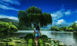 梦到被老鼠咬着手不放