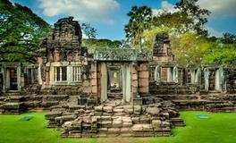 梦到老鼠钻到衣服里