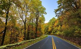 孕妇梦到三只老鼠