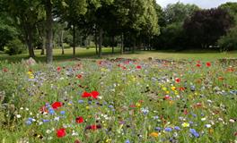 梦见躺在棺材里