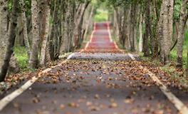 梦到和别人一起抬棺材