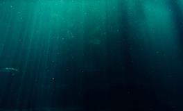 梦到棺材和小孩