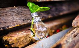 梦见外面的水往家里流