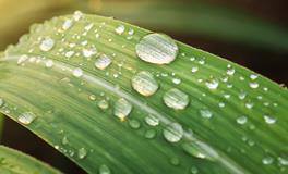 梦到水里有死人