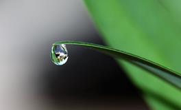 梦见自己孩子掉水里了