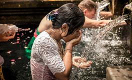 梦见好多猫是什么意思周公解梦