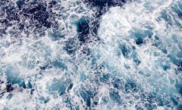 梦见家里很多人很热闹