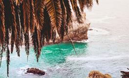 属猴男生应如何经营爱情