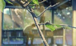 2018年白露后天气还热吗