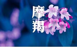 让摩羯女感动的告白