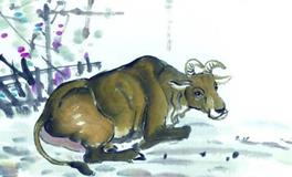 属牛2020年运势及运程 属牛人2020年全年每月运势