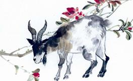 属羊2020年运势及运程 属羊人2020年全年每月运势