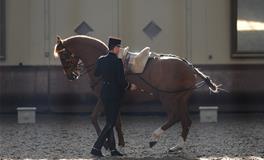 属蛇狮子座男生性格