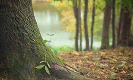 梦到孩子拉屎到我身上