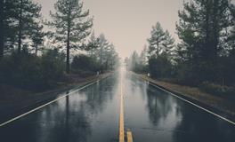 梦见手摸到大便