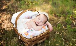 秋分出生的人的命运如何