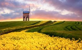 苏珊米勒今日运势2018年9月5日