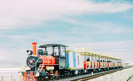 苏珊米勒今日运势2018年9月7日