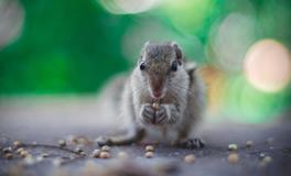 梦见一群人吃饭