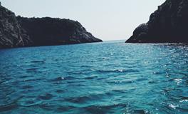 梦见别人捞鱼预示着什么