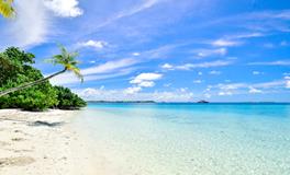 梦见乌龟爬到自己身上