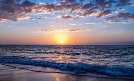 孕妇梦到一群乌龟