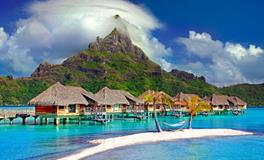 梦到生了个乌龟