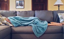 孕妇梦见牛是什么意思