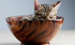 孕妇梦到水是什么意思