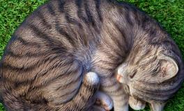 孕妇做梦梦到鬼是什么意思